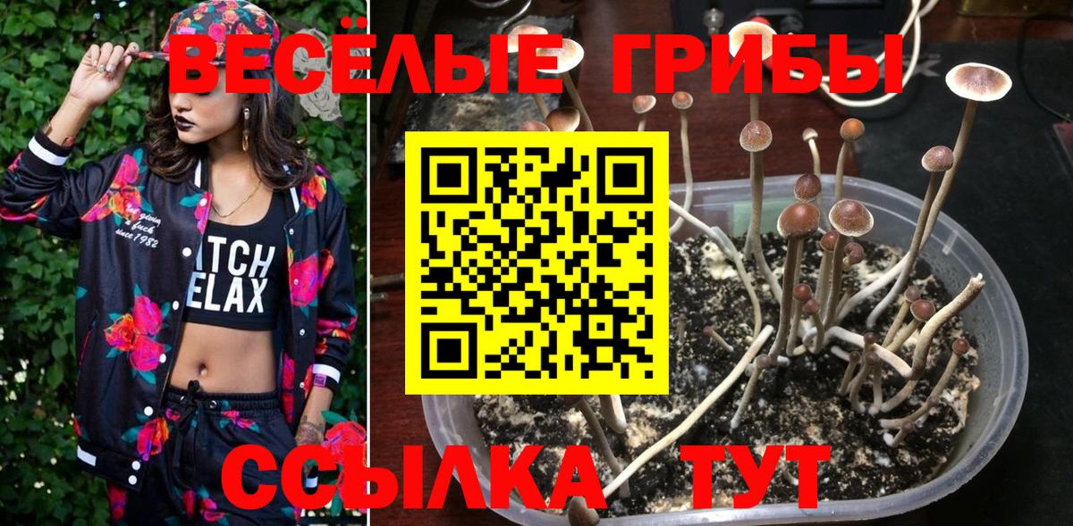 Псилоцибиновые грибы мицелий Азов