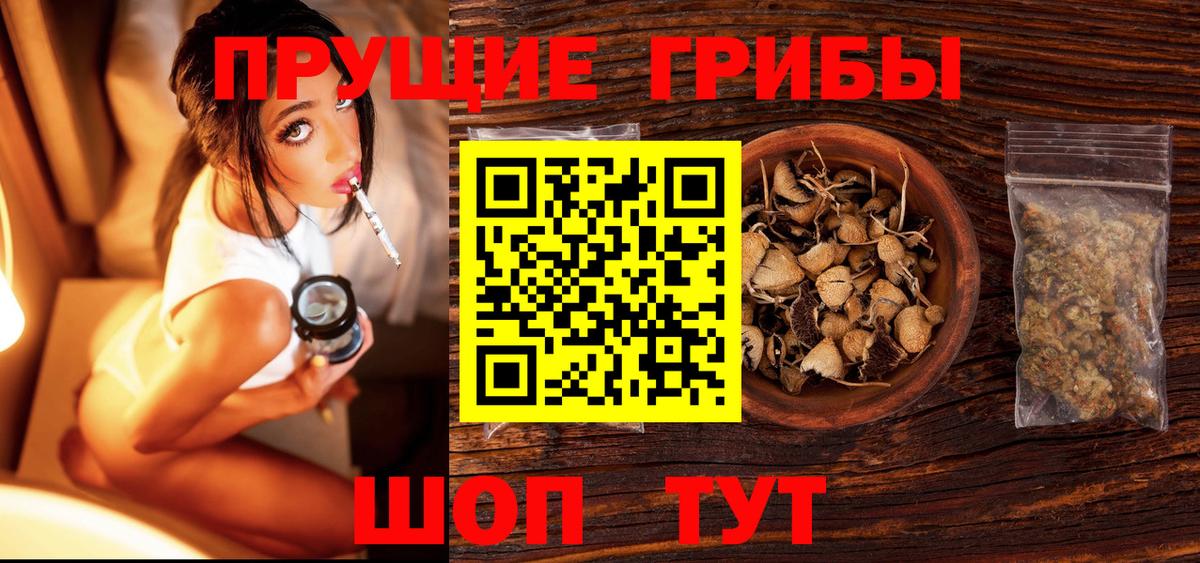 Азов  Галлюциногенные грибы Cubensis  Вход с VPN 